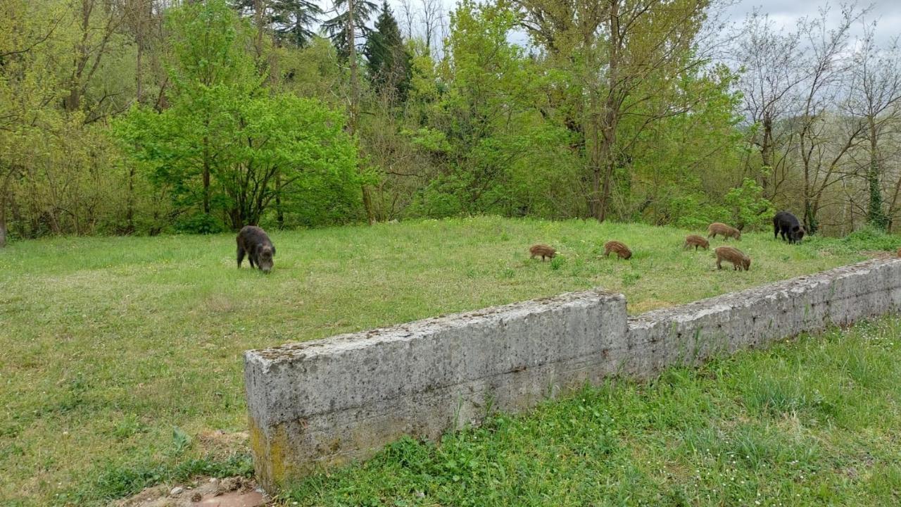 B&B Villa S Anna Hospitality Solutions Arquata Scrivia Exterior foto